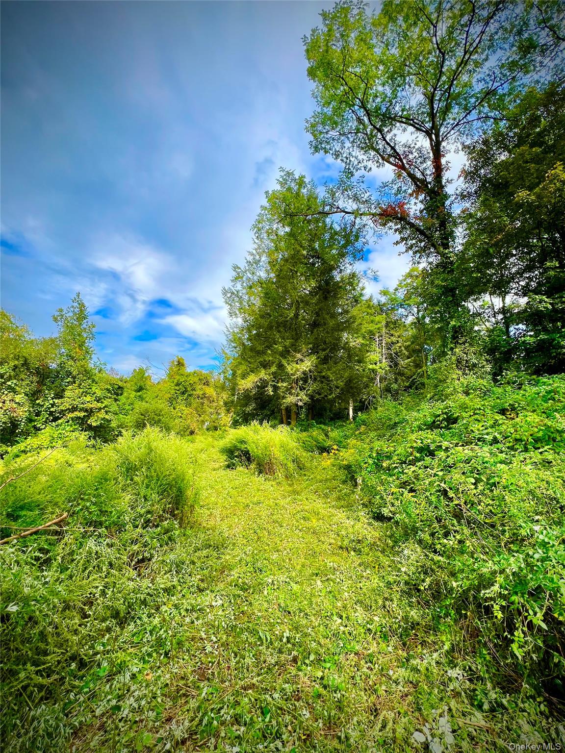 890 Route 312 Property Photo 1