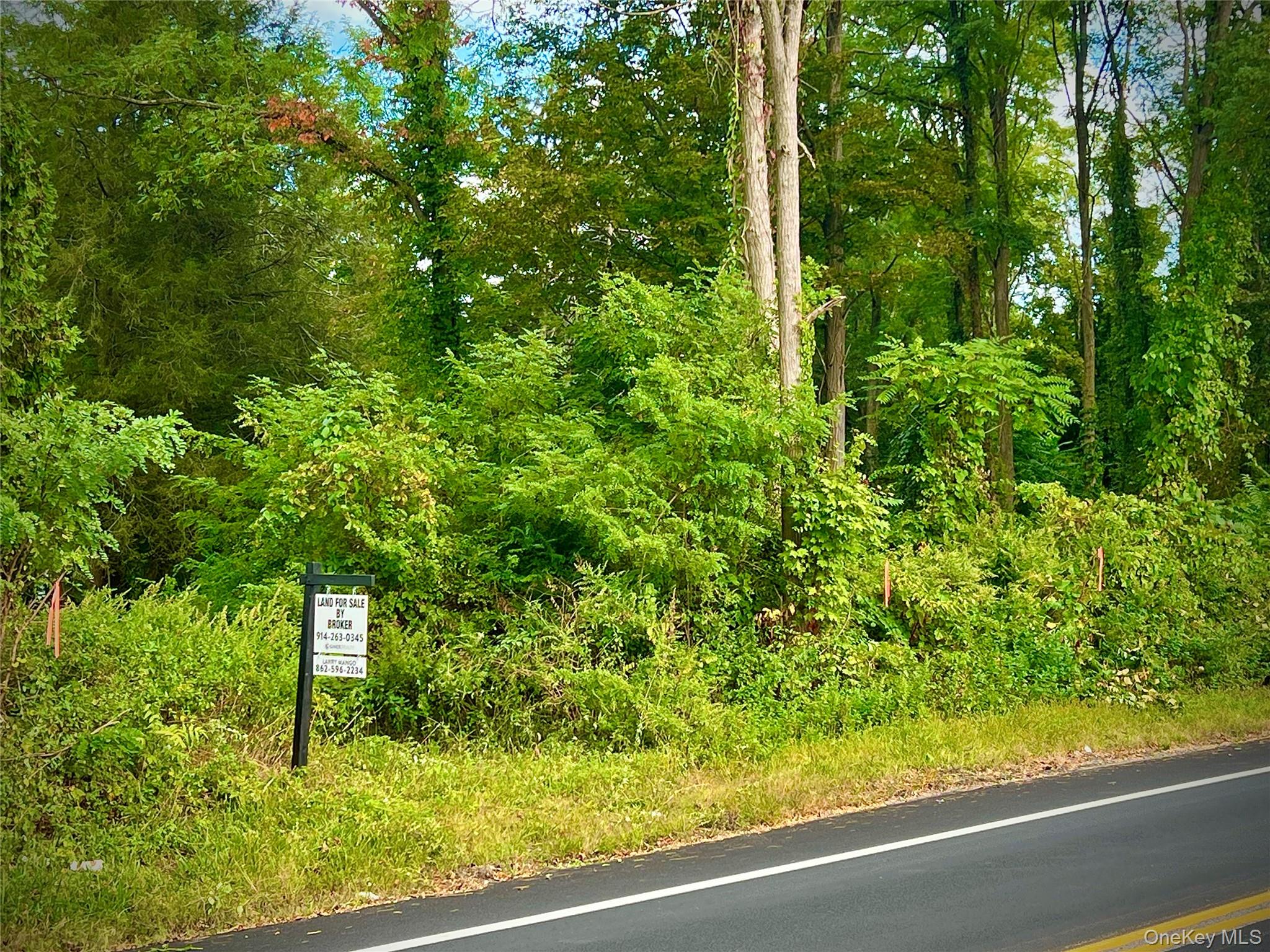 890 Route 312 Property Photo 3