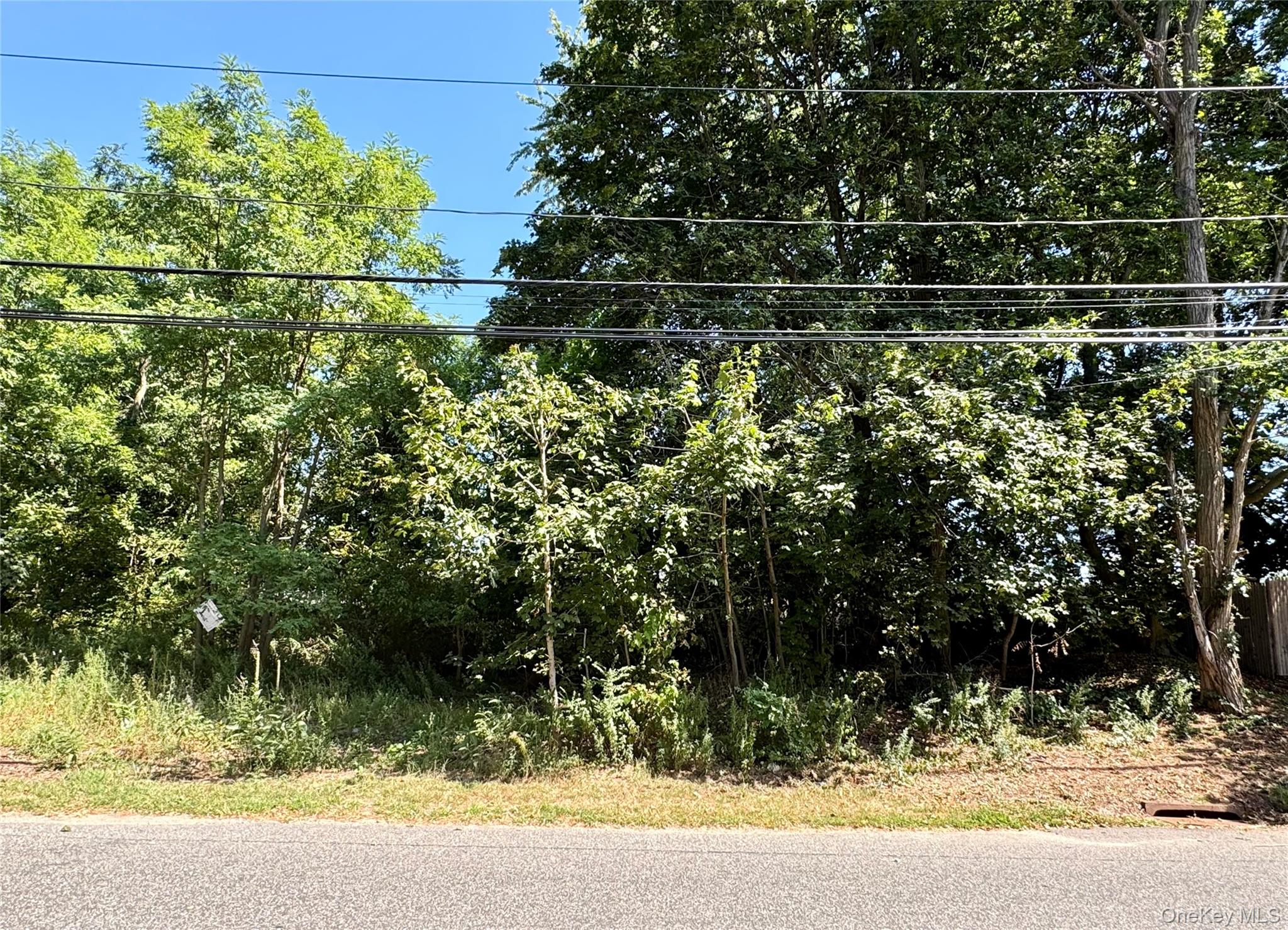 #189,#191 Mount Vernon Avenue Property Photo 1