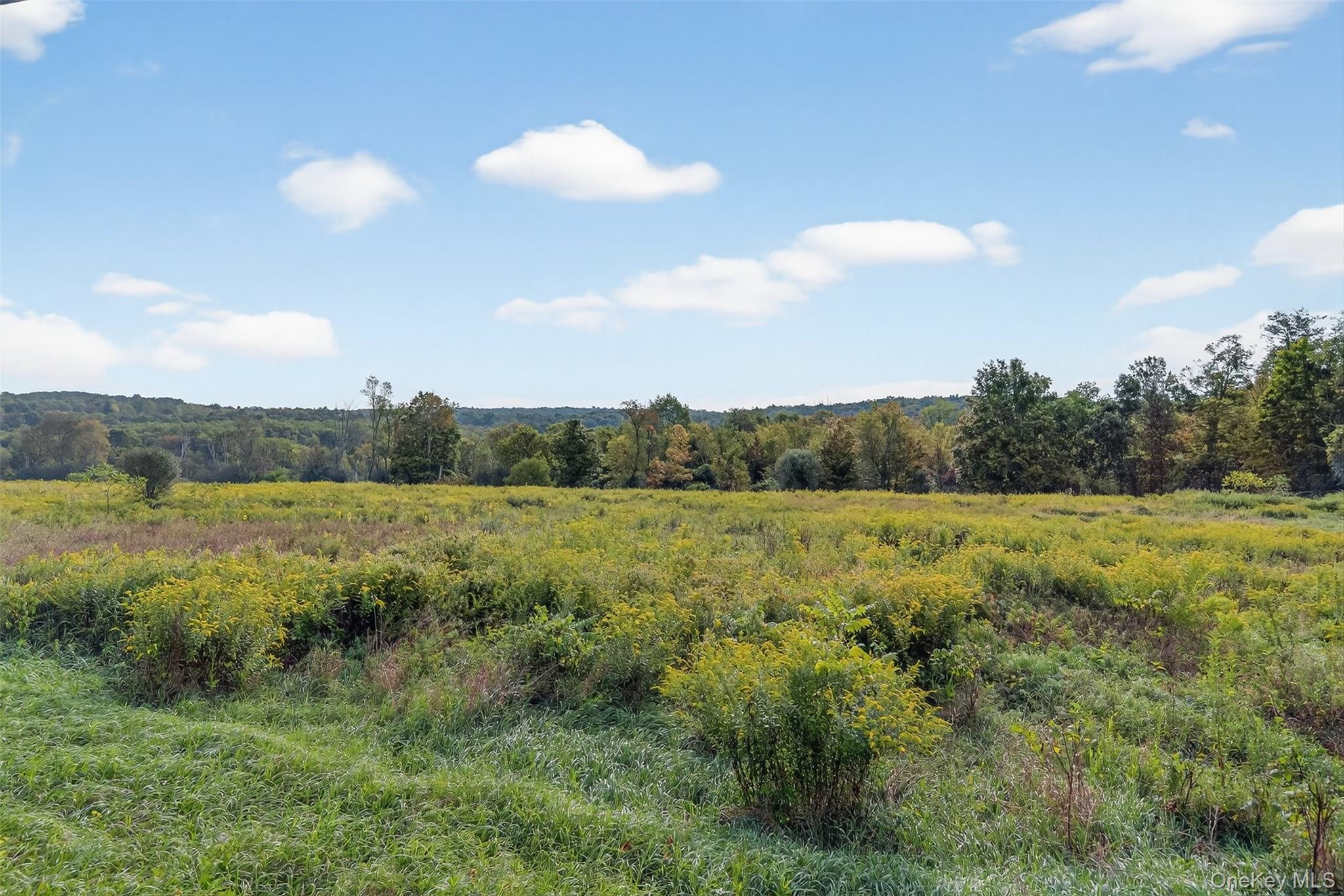441 Scotchtown Collabar Road Property Photo 46