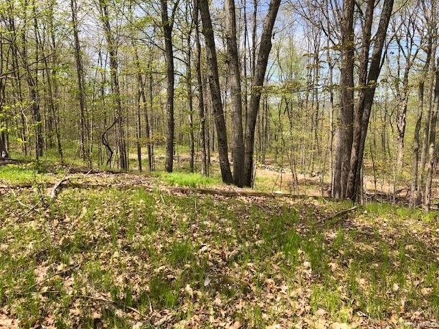 Lily Lake Road Property Photo 4