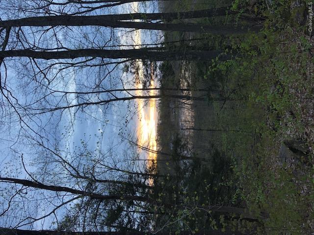 Lily Lake Road Property Photo 5