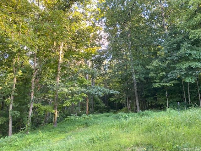 Lily Lake Road Property Photo 7