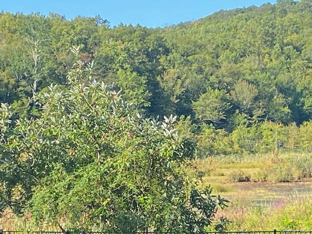 Lily Lake Road Property Photo 8