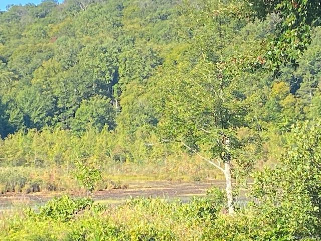 Lily Lake Road Property Photo 9
