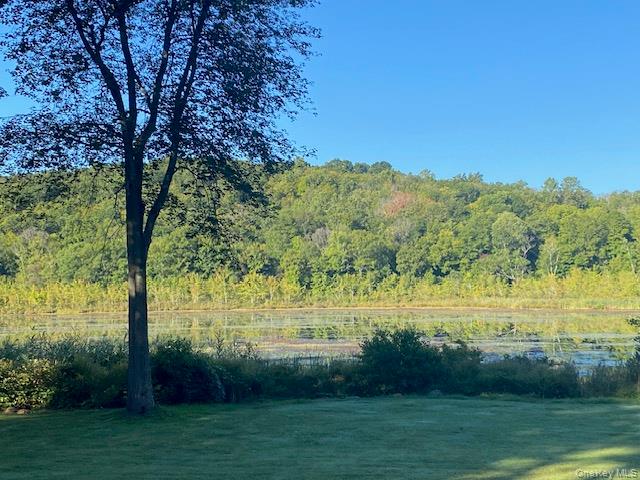 Lily Lake Road Property Photo 20