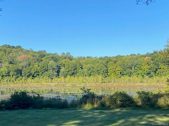 Lily Lake Road Property Photo 21