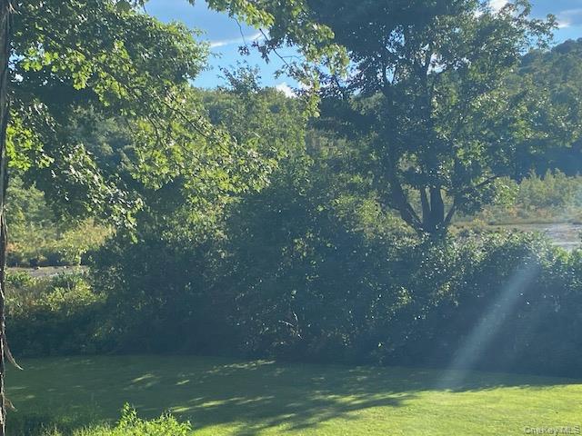 Lily Lake Road Property Photo 22