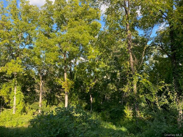 Lily Lake Road Property Photo 26