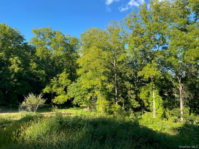 Lily Lake Road Property Photo 27