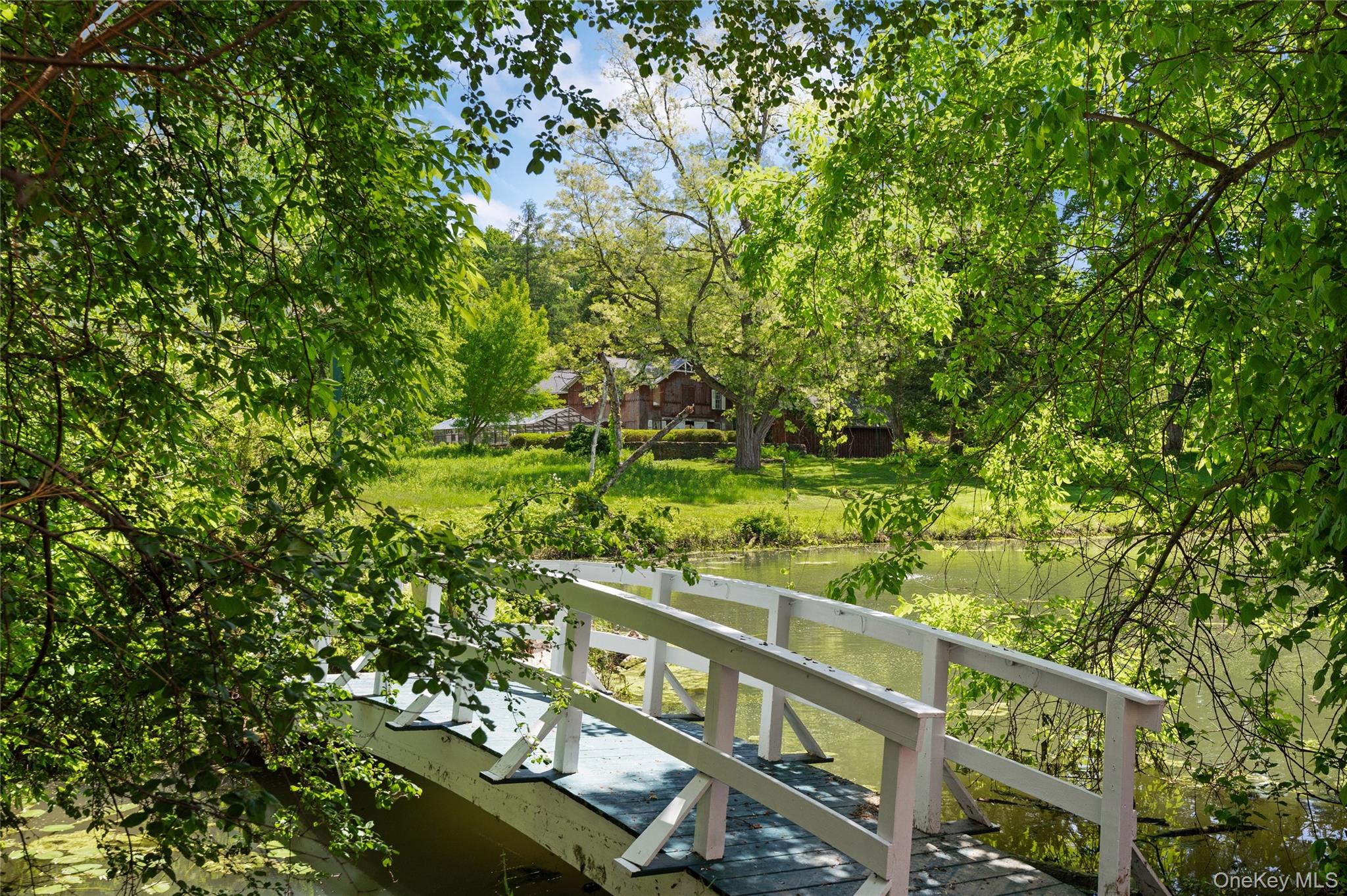 202 Buckwheat Bridge Property Photo 43