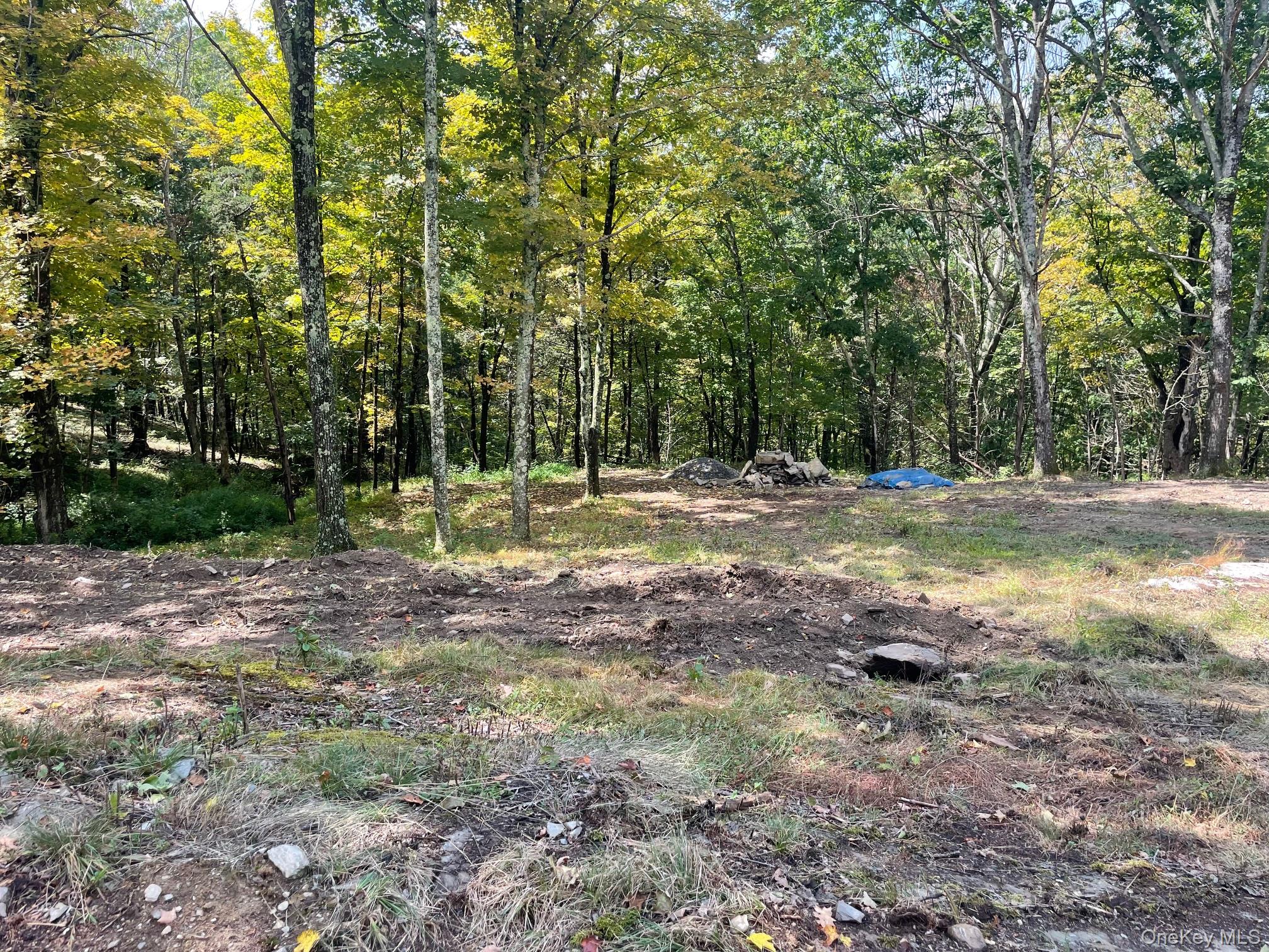 Lot #2 Church Rd Property Photo 1