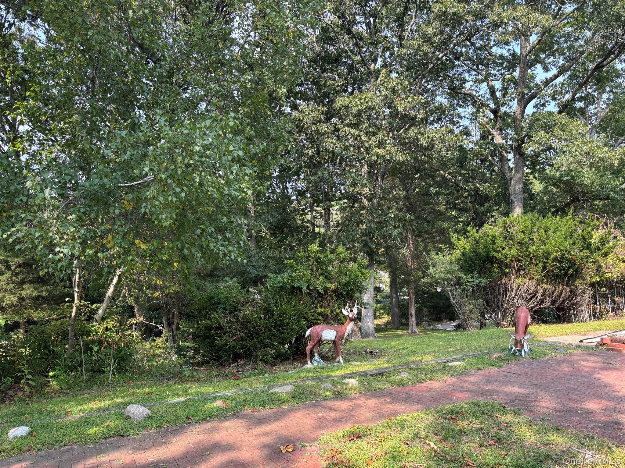 16 Rocklein Road Property Photo 15