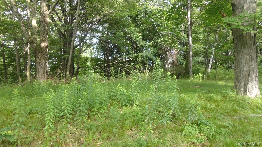Henry Road Property Photo 3