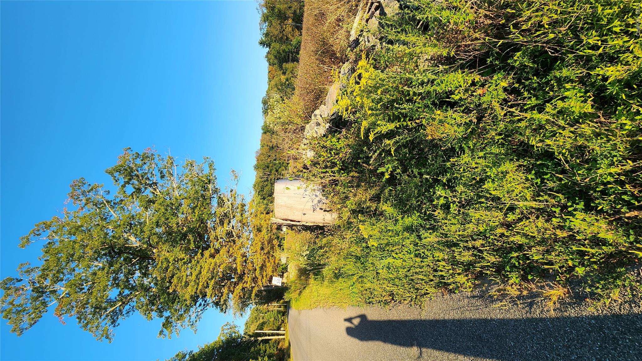 647 Irish Cape Road Property Photo 3