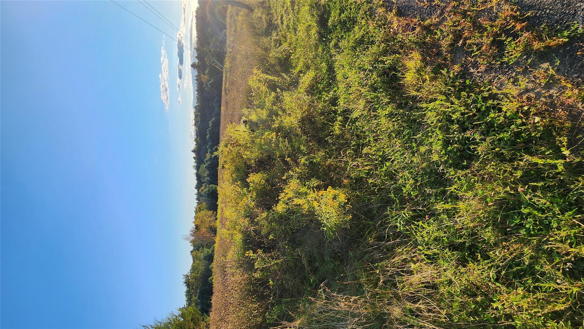 647 Irish Cape Road Property Photo 4