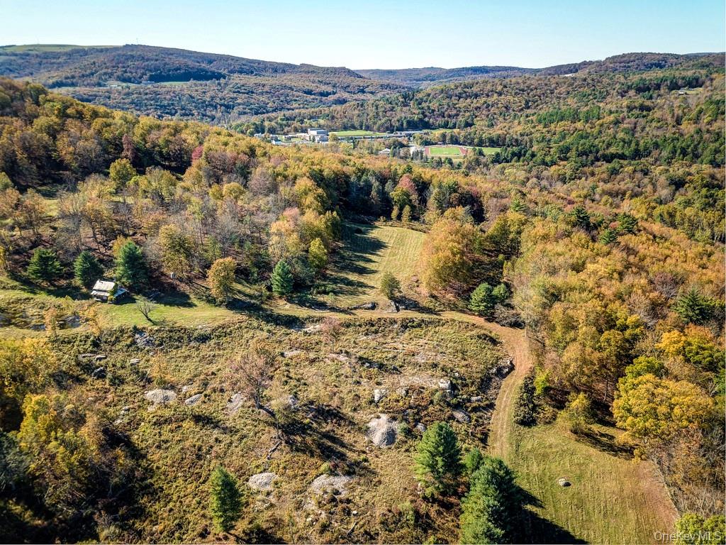 Tbd State Route 55 And Smith Lane Property Photo 6