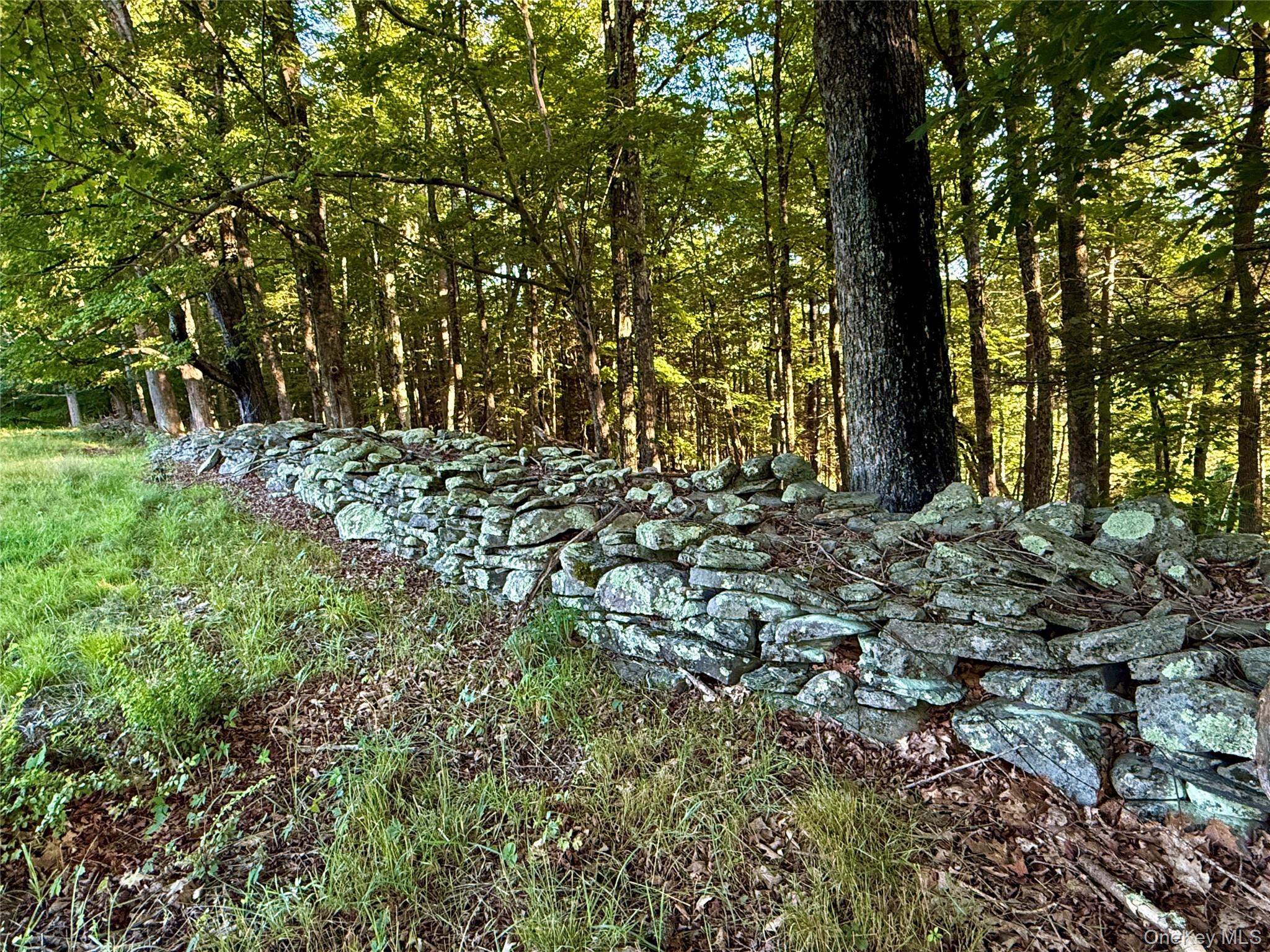 Tbd State Route 55 And Smith Lane Property Photo 10
