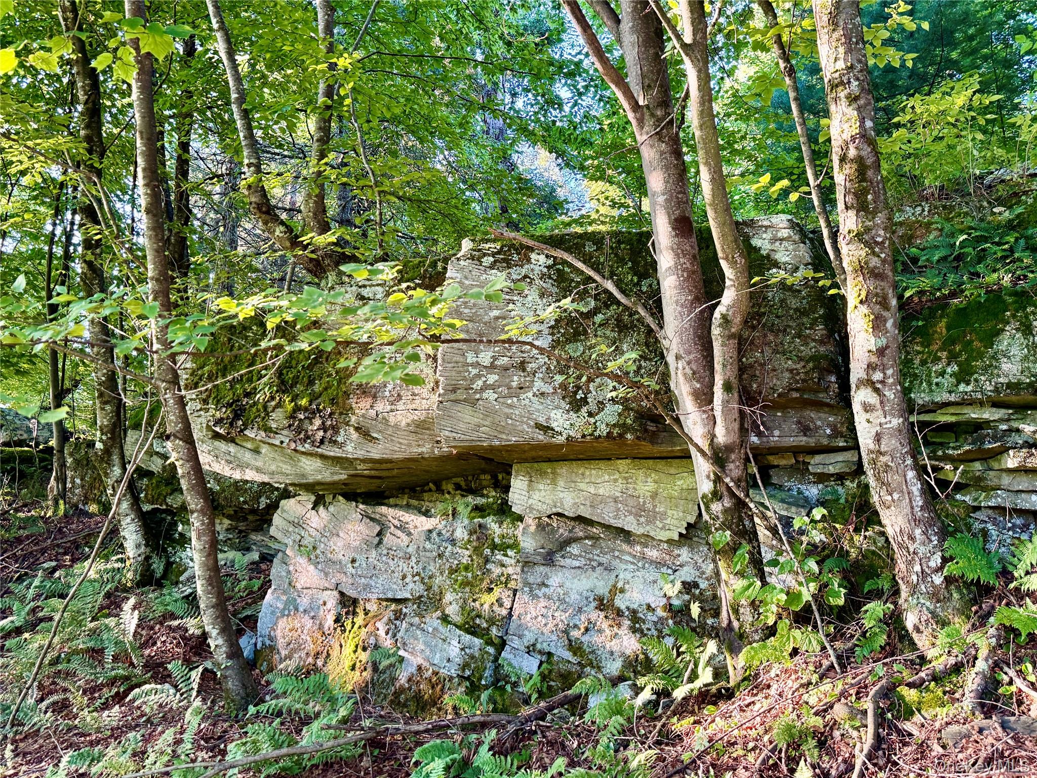 Tbd State Route 55 And Smith Lane Property Photo 16