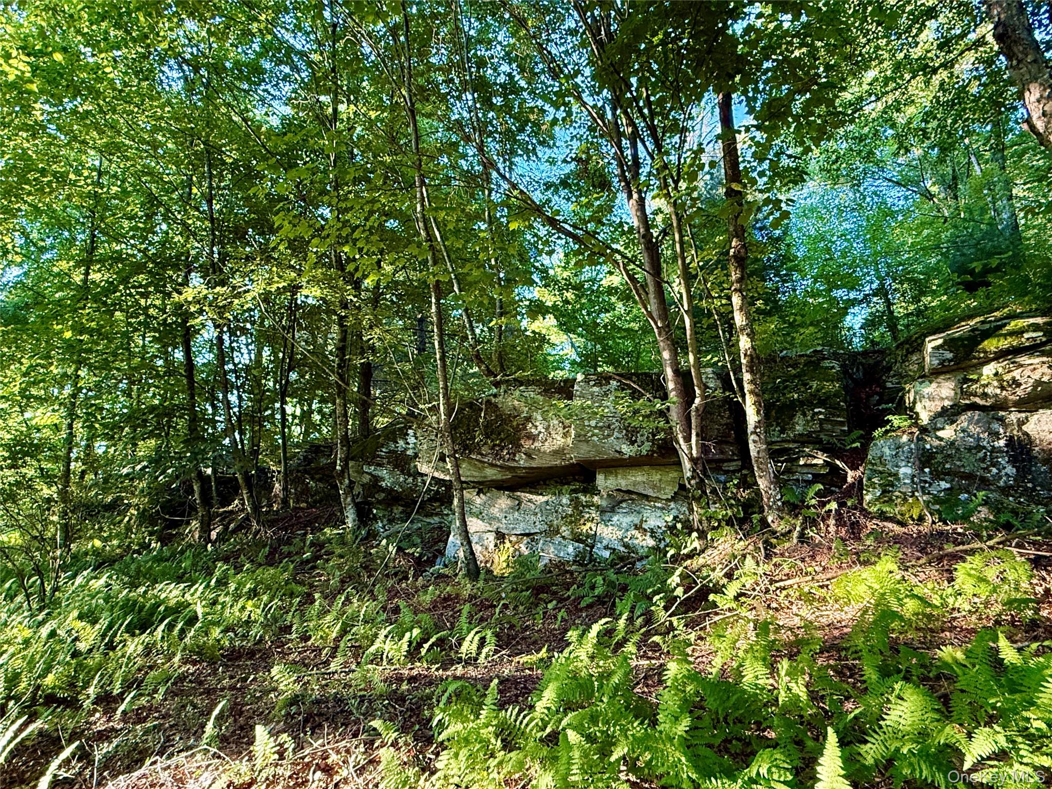 Tbd State Route 55 And Smith Lane Property Photo 18