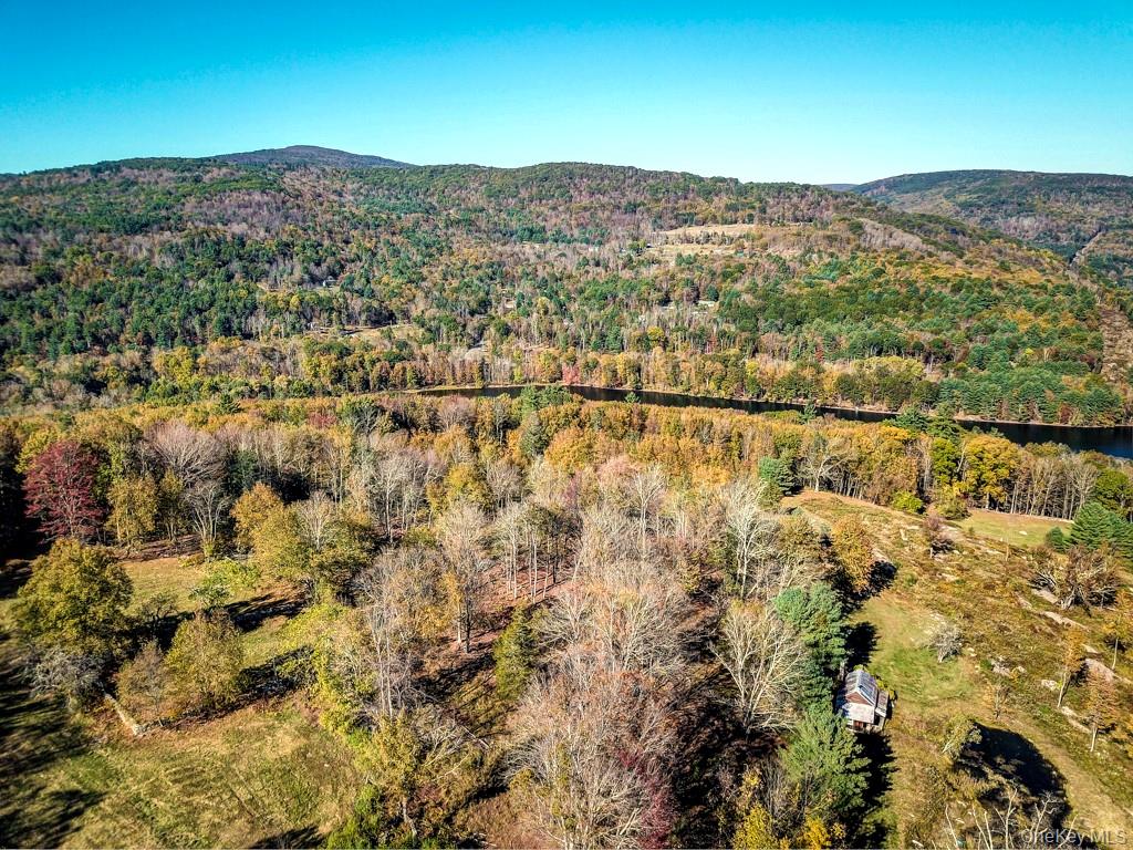 Tbd State Route 55 And Smith Lane Property Photo 20