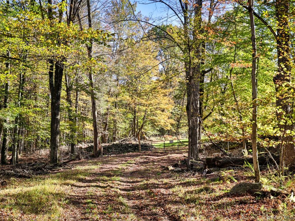 Tbd State Route 55 And Smith Lane Property Photo 22