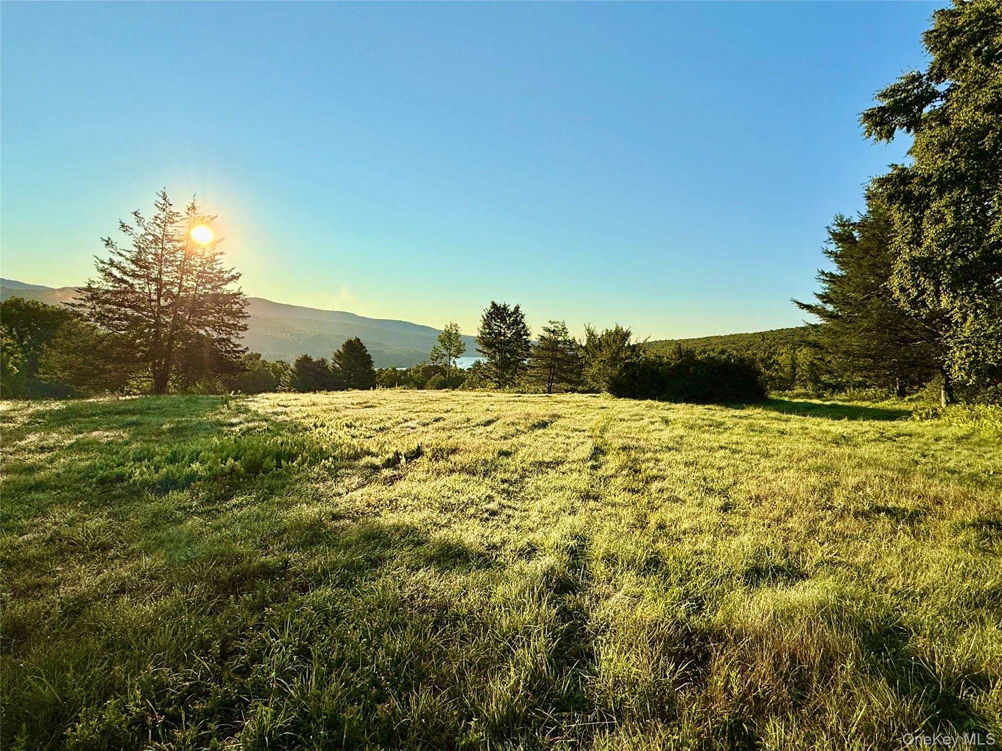Tbd State Route 55 And Smith Lane Property Photo 26