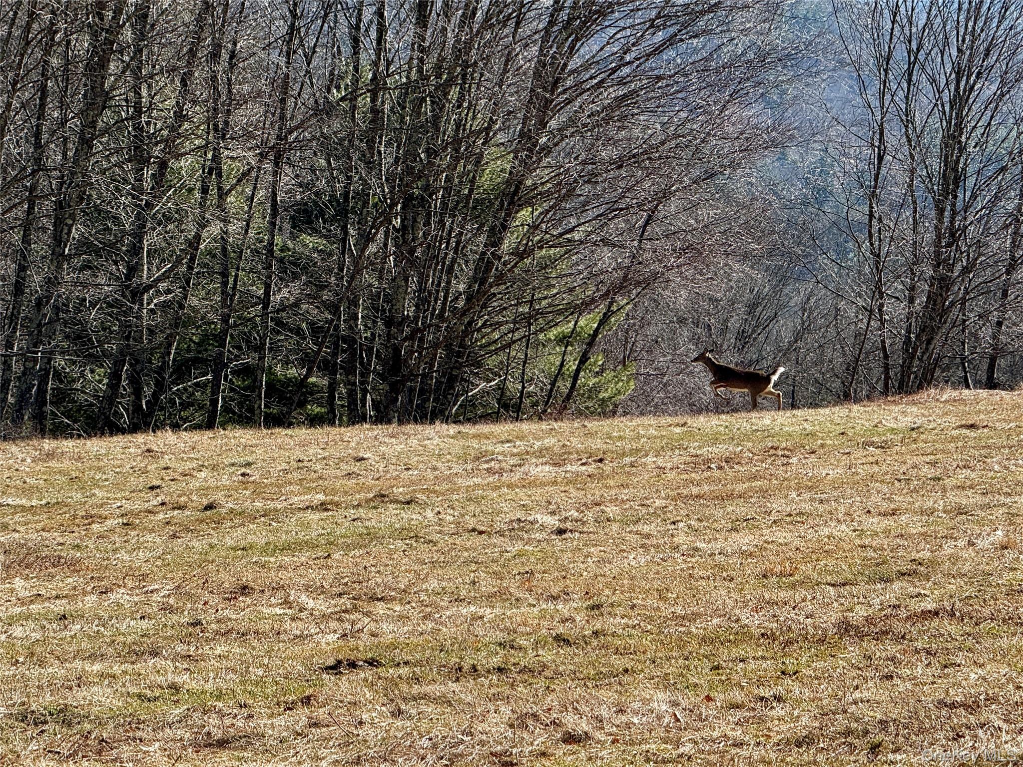 Tbd State Route 55 And Smith Lane Property Photo 30