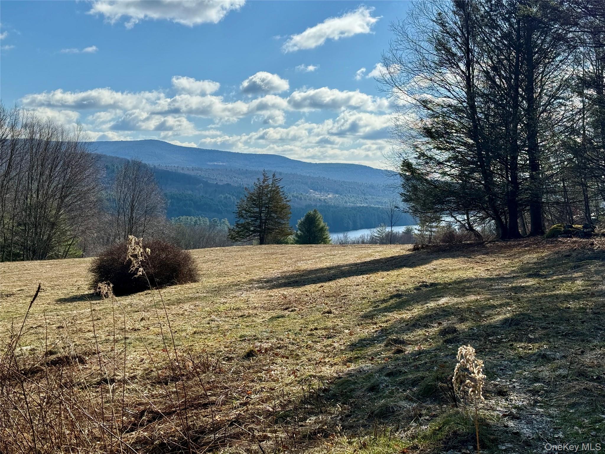 Tbd State Route 55 And Smith Lane Property Photo 32