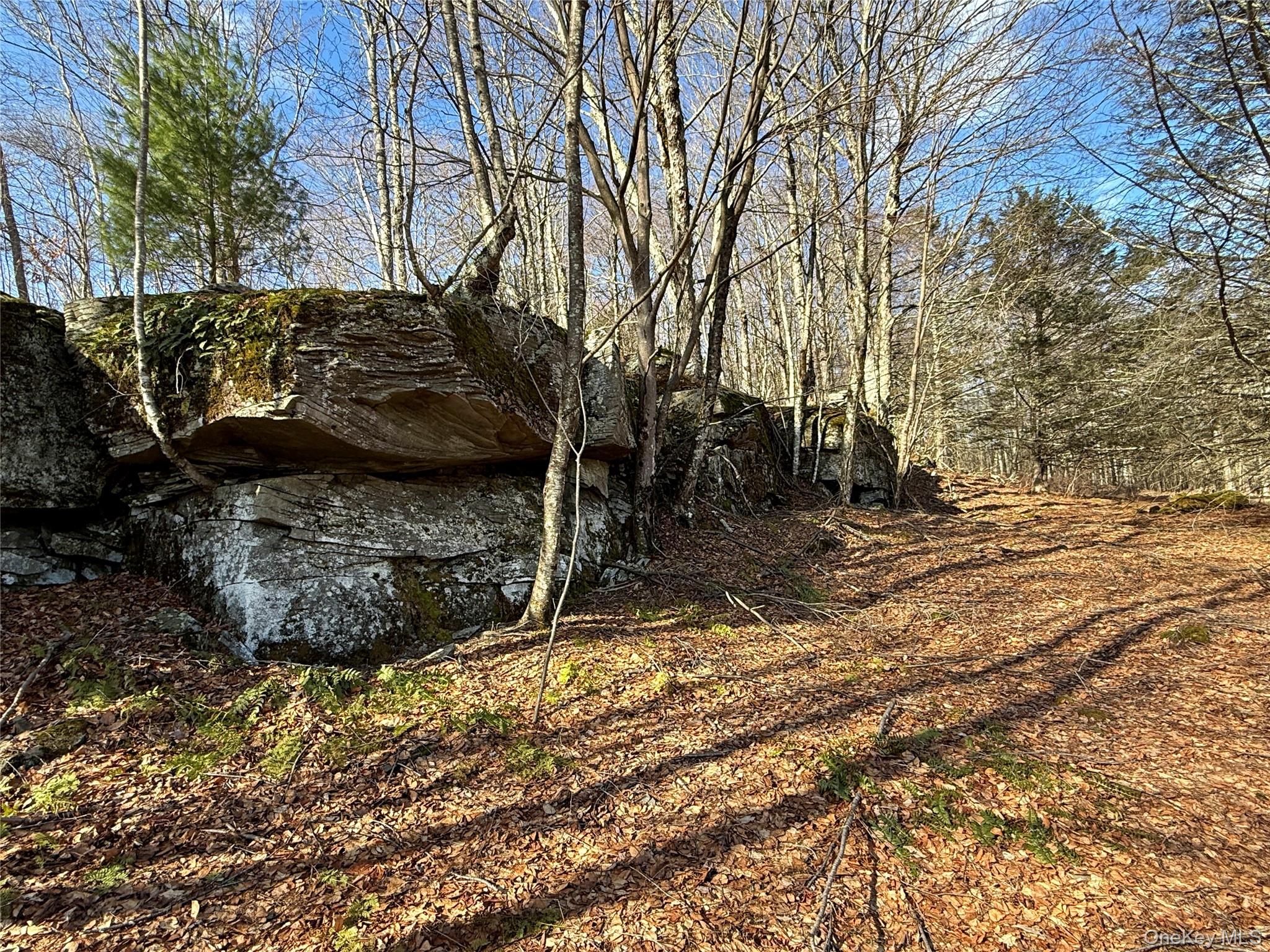 Tbd State Route 55 And Smith Lane Property Photo 36