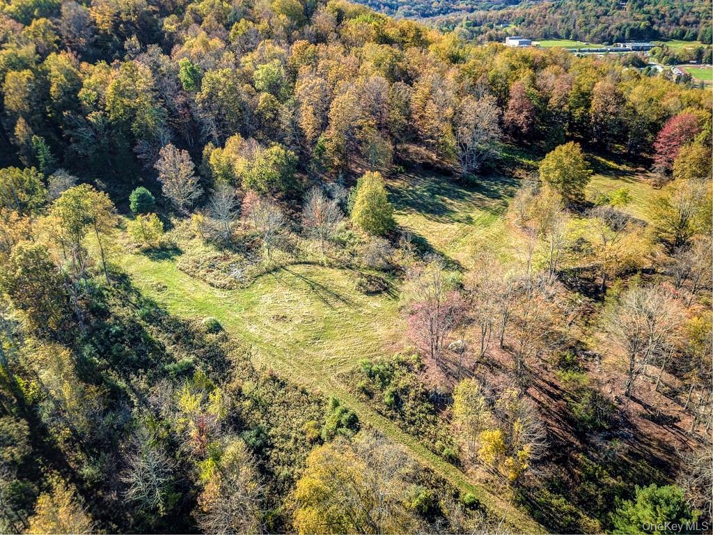 Tbd State Route 55 And Smith Lane Property Photo 42