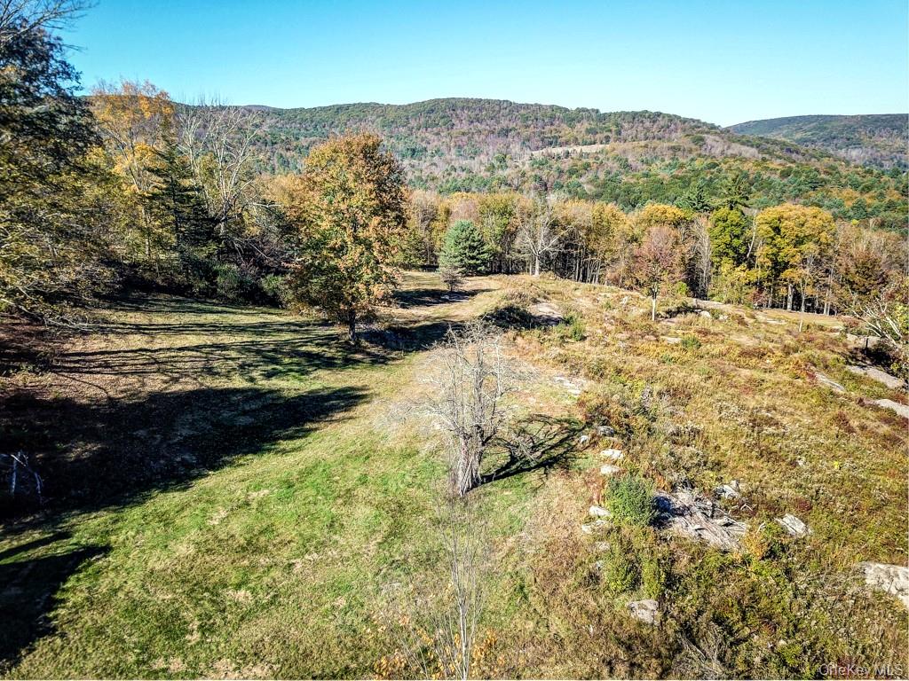 Tbd State Route 55 And Smith Lane Property Photo 44