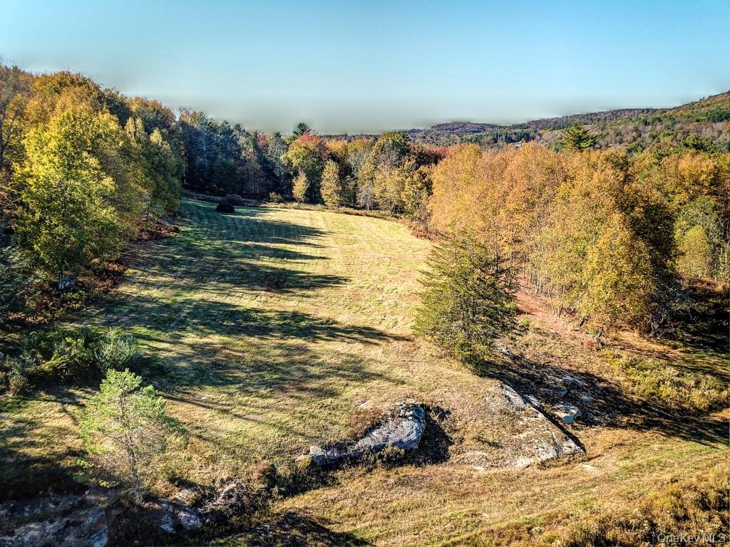 Tbd State Route 55 And Smith Lane Property Photo 46