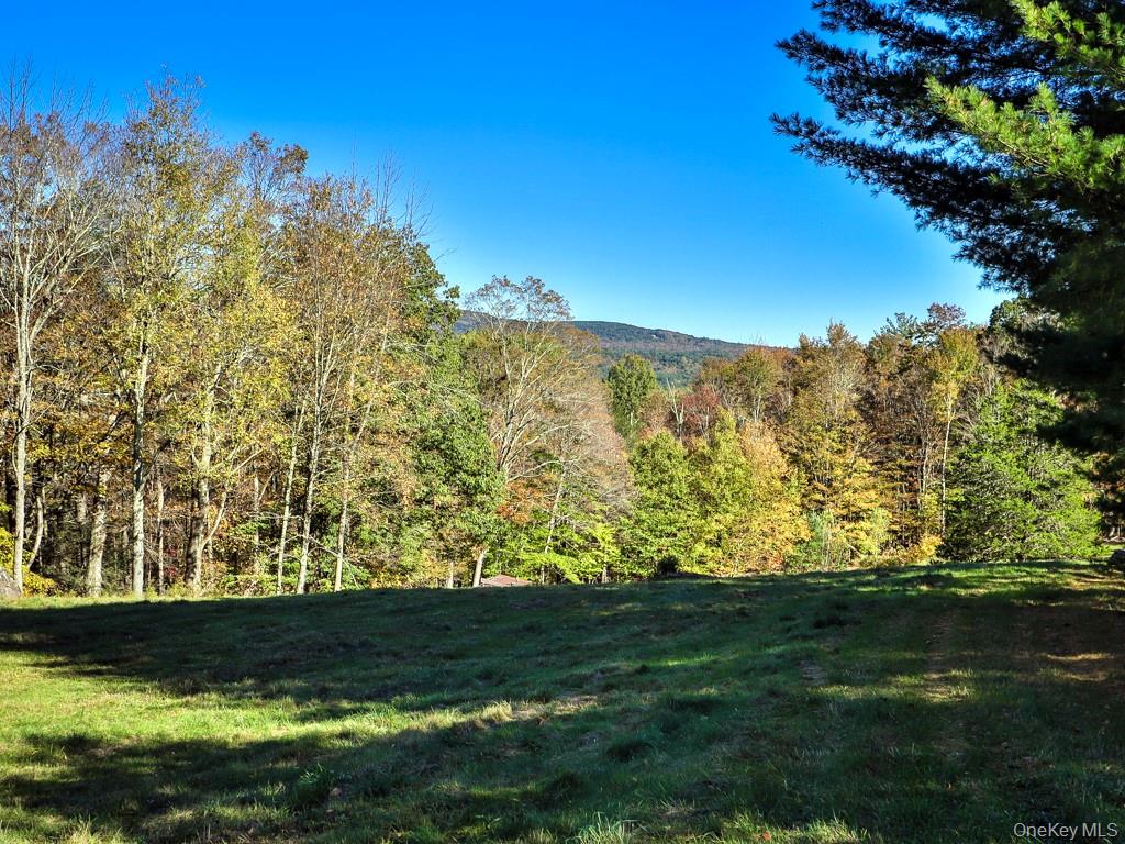 Tbd State Route 55 And Smith Lane Property Photo 47