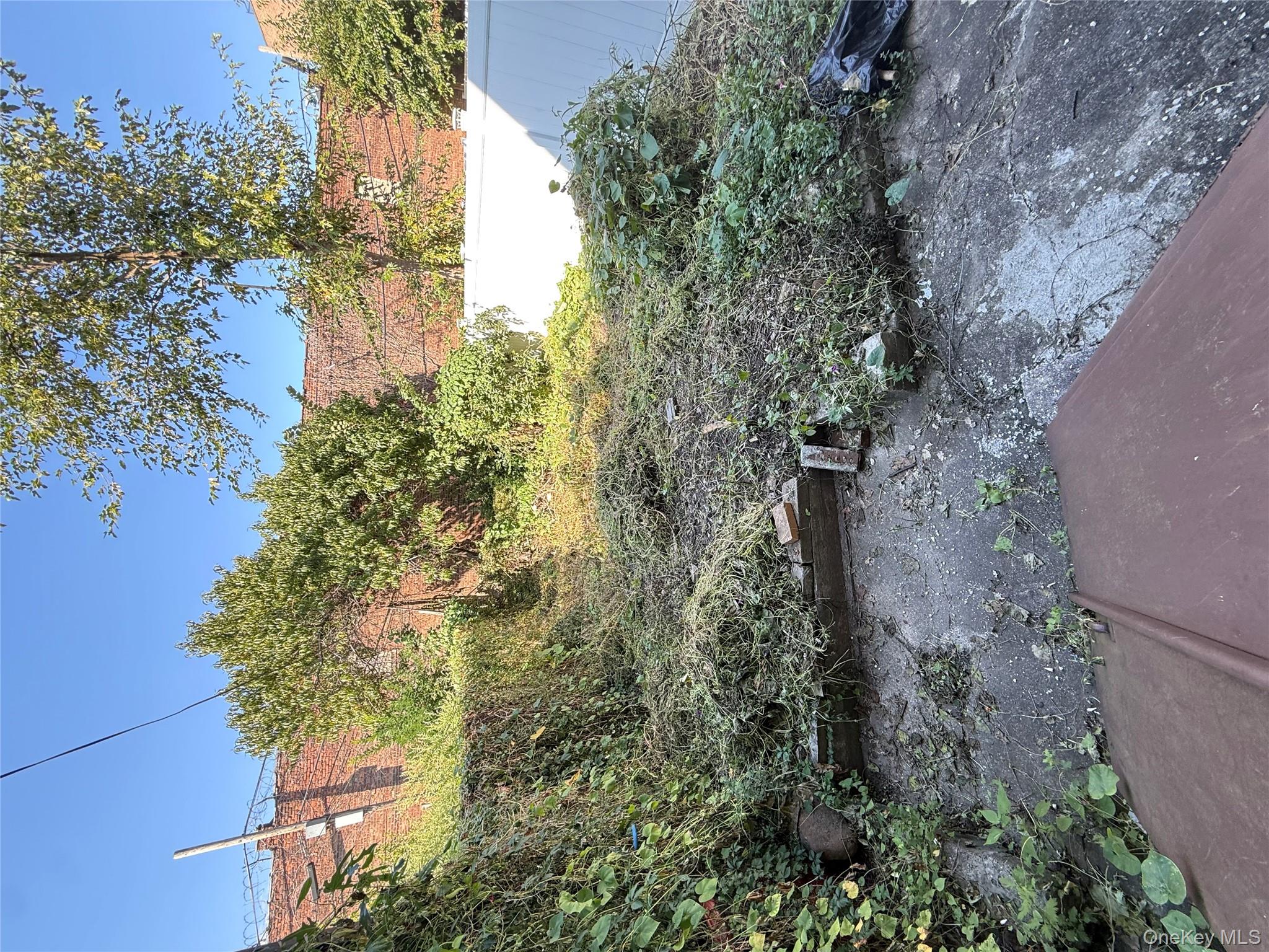 1655 Lincoln Place Property Photo 17