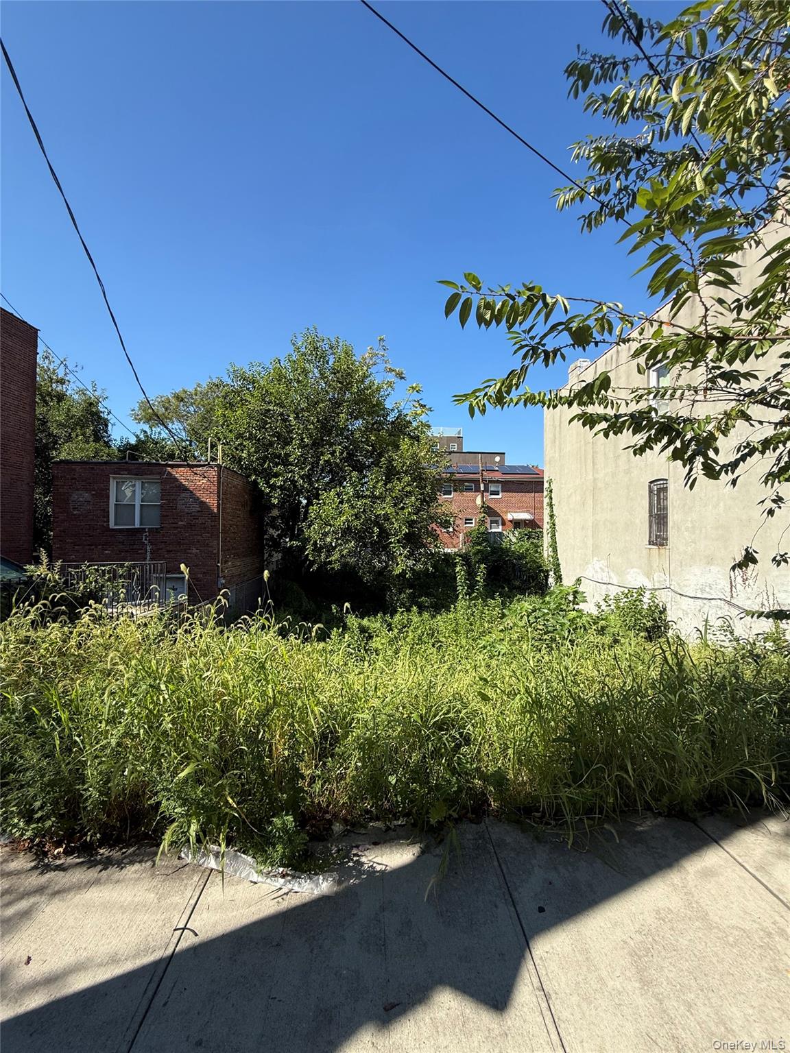 1371-1373 Dumont Avenue Property Photo 1
