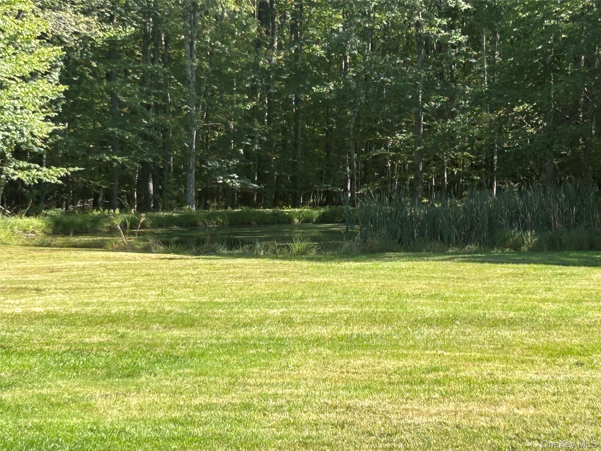 486 County Road 114 Property Photo 20