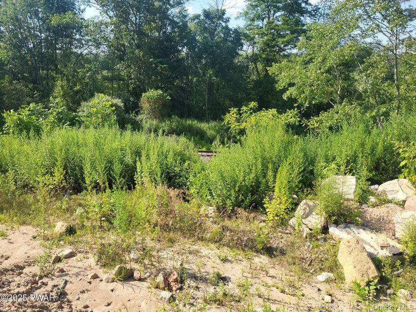 592 Mount Bethel Highway Property Photo 14