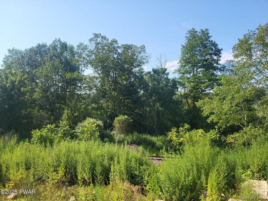 592 Mount Bethel Highway Property Photo 15