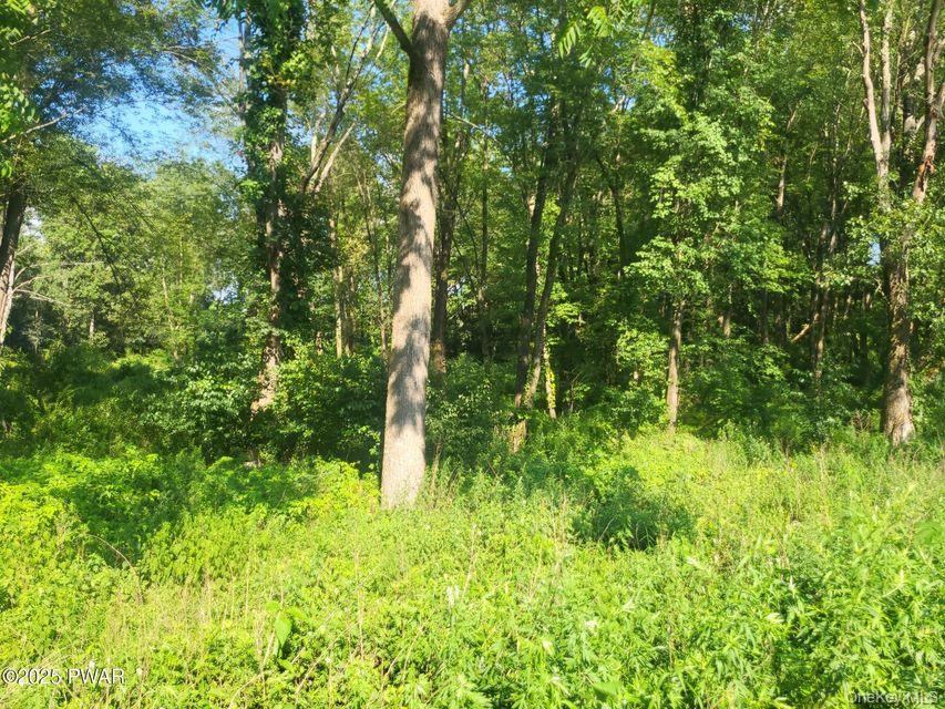 592 Mount Bethel Highway Property Photo 25