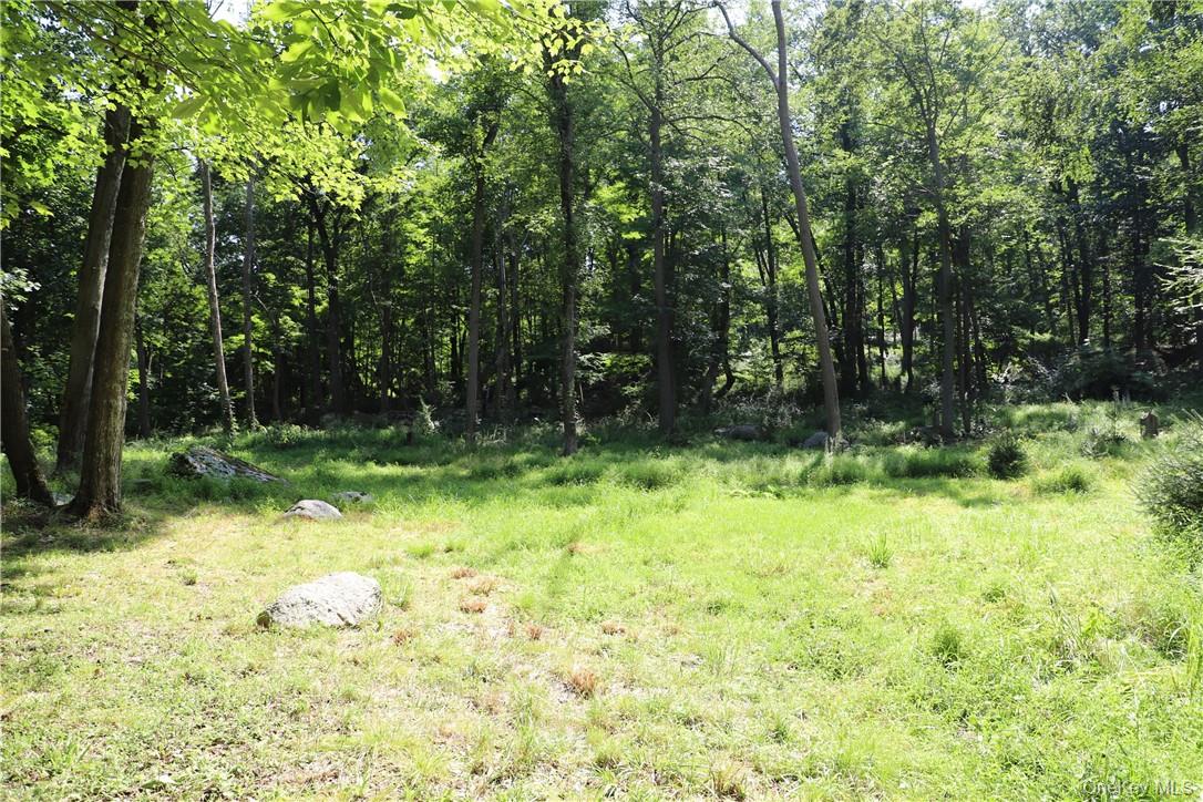 Mountain Farm Road Property Photo 1