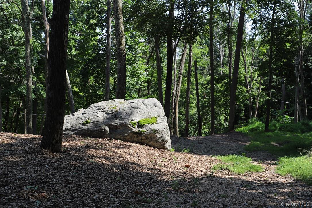 Mountain Farm Road Property Photo 3