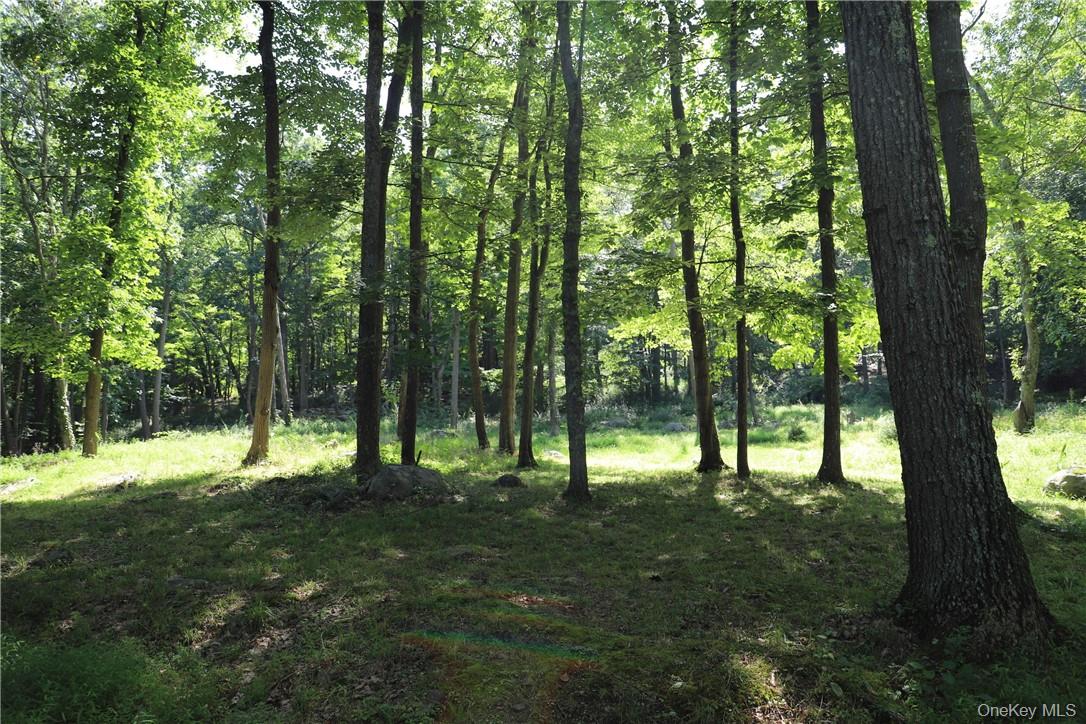 Mountain Farm Road Property Photo 4