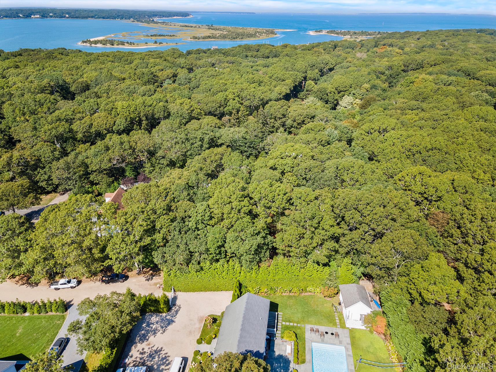 4 Calvin Street Property Photo 20