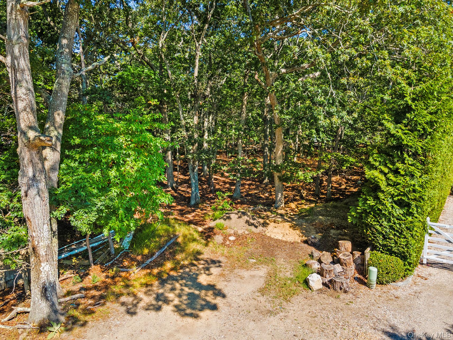 4 Calvin Street Property Photo 23