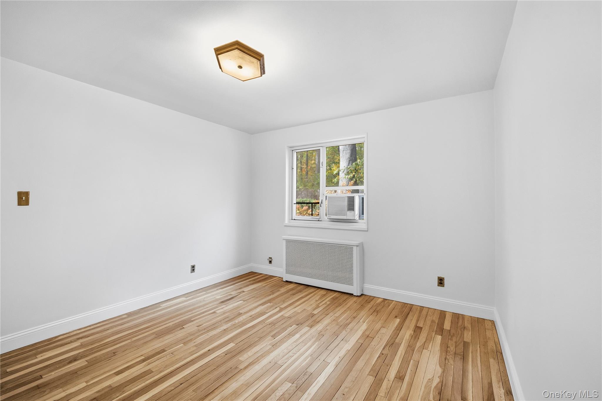 228-08 Stronghurst Avenue Lower Property Photo 14