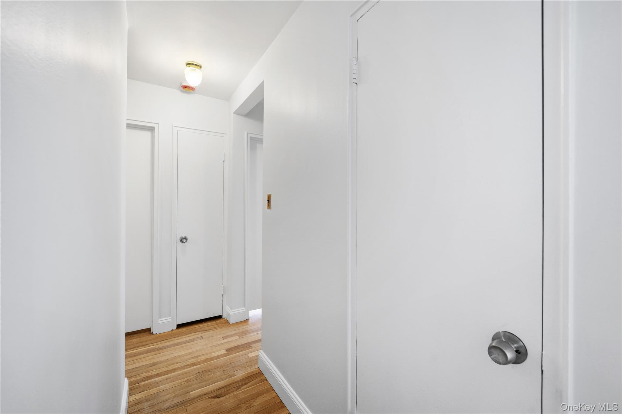 228-08 Stronghurst Avenue Lower Property Photo 20