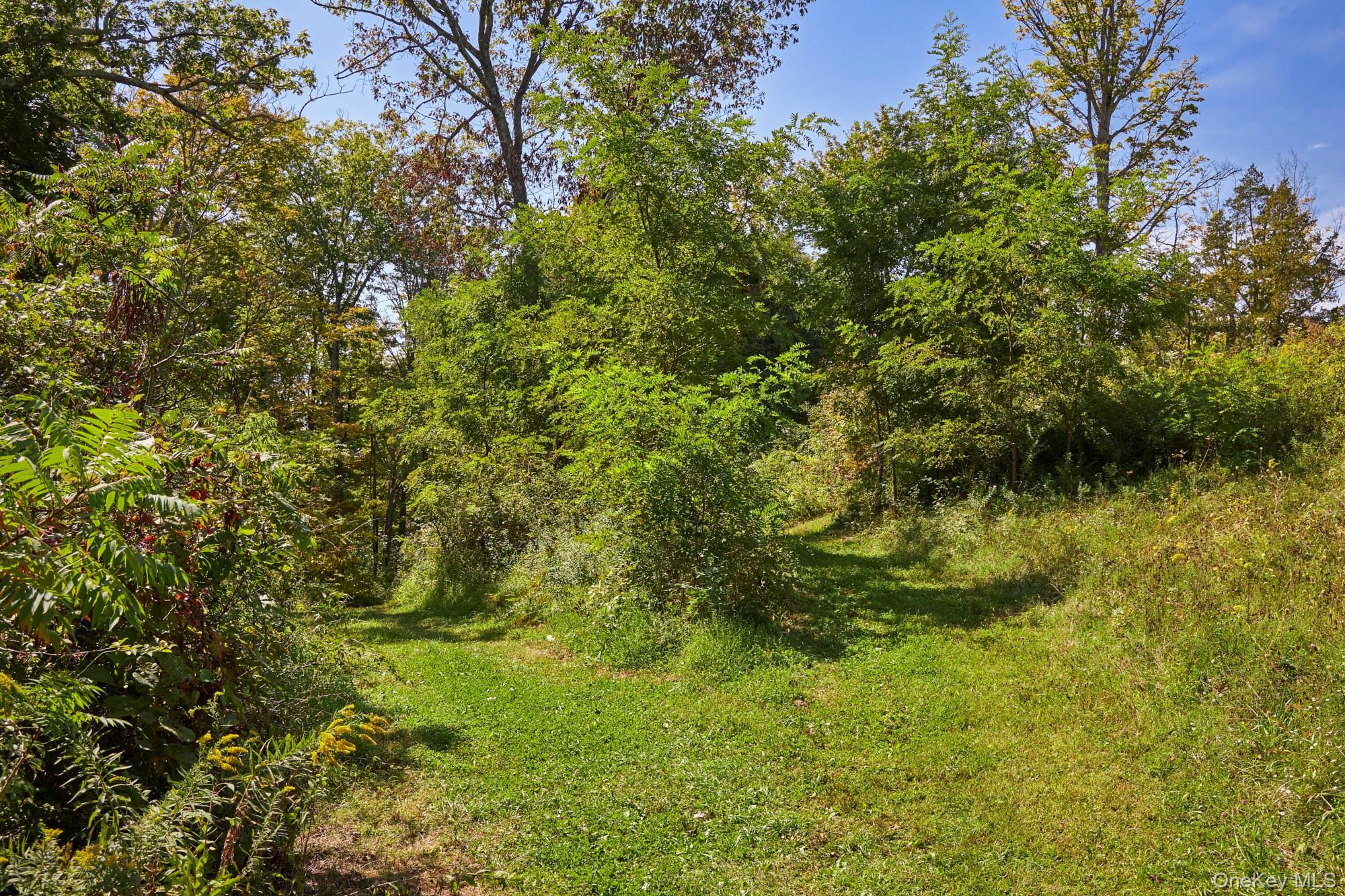 Mill Road Property Photo 4