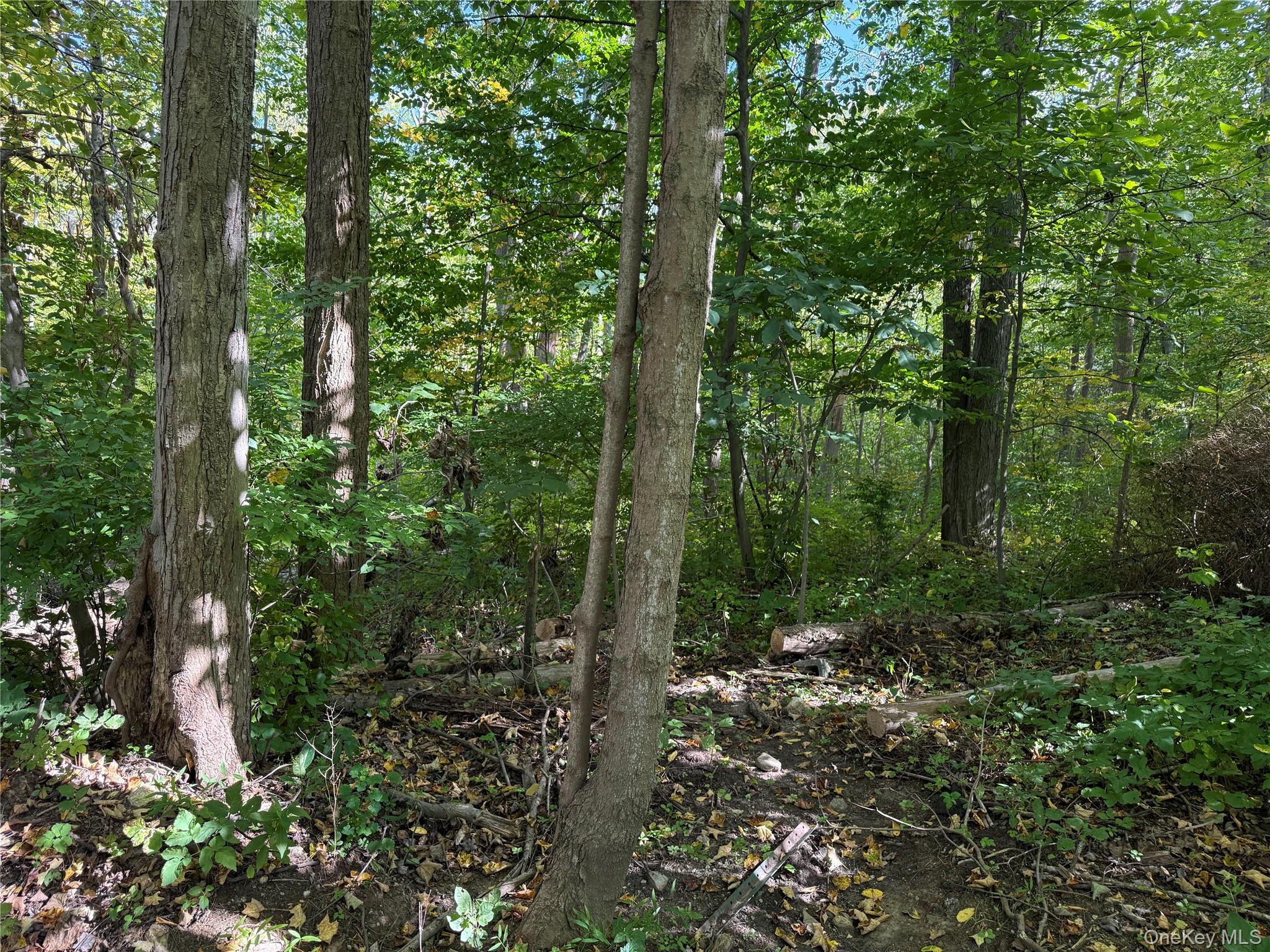 Ludington Property Photo 2