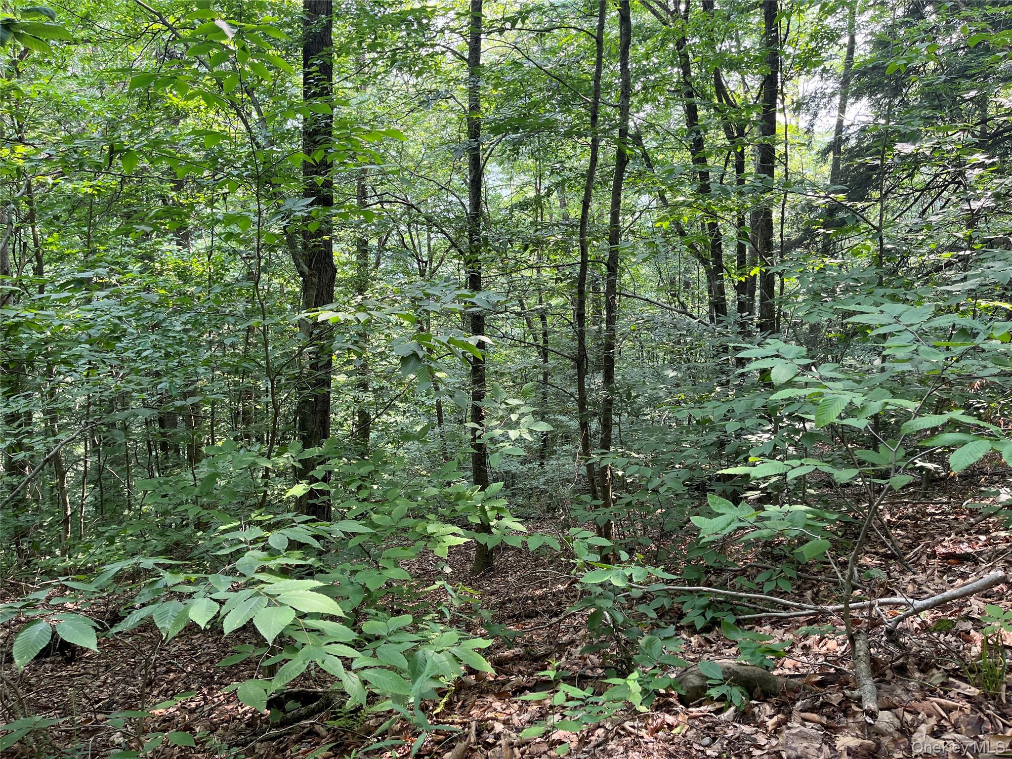 Hood Road Property Photo 7